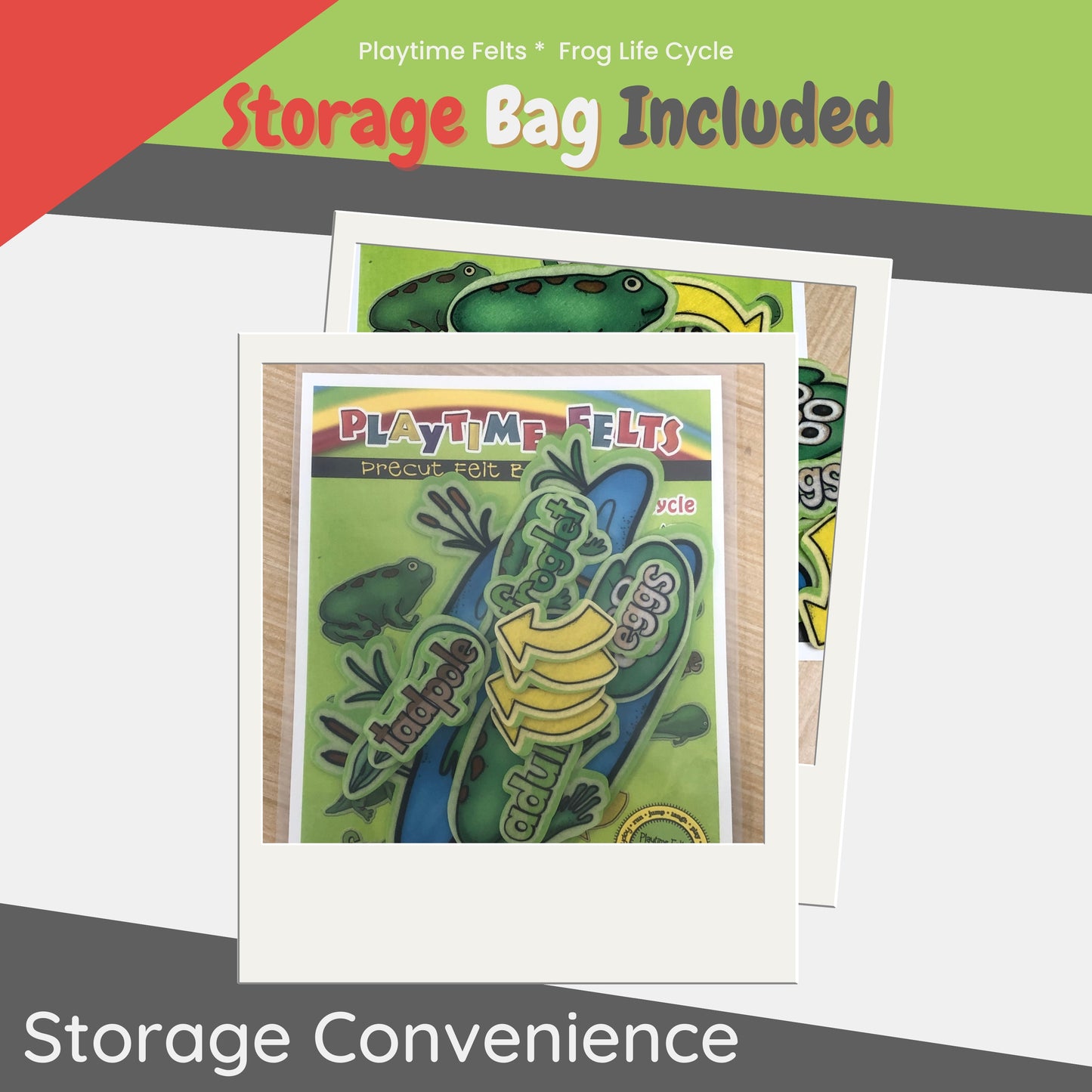 Frog Life Cycle Felt Board Story Set for Preschool