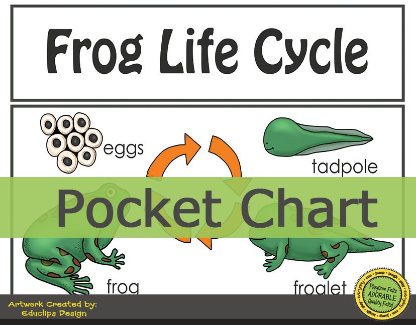 Frog Life Pocket Chart Activity with Beginning Reader 📥 INSTANT Download - Preschool Activity Sheets Playtime Felts
