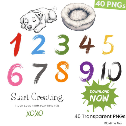 Set of colorful numbers 1 through 10 with a sleeping dog and pet bed illustration, labeled '40 PNGs' and 'Start Creating!'.