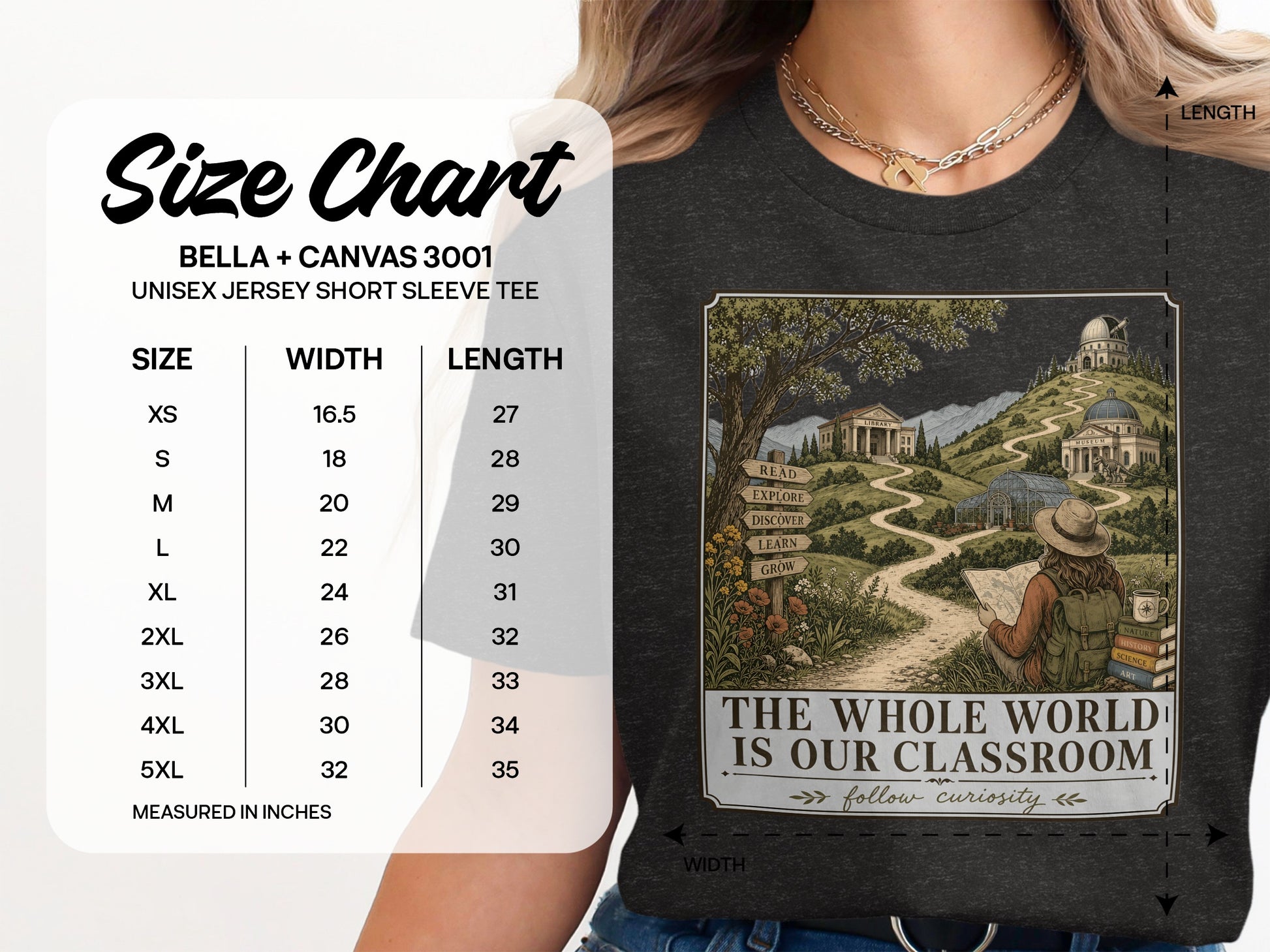 Bella + Canvas 3001 unisex tee size chart on the left, graphic on right.
