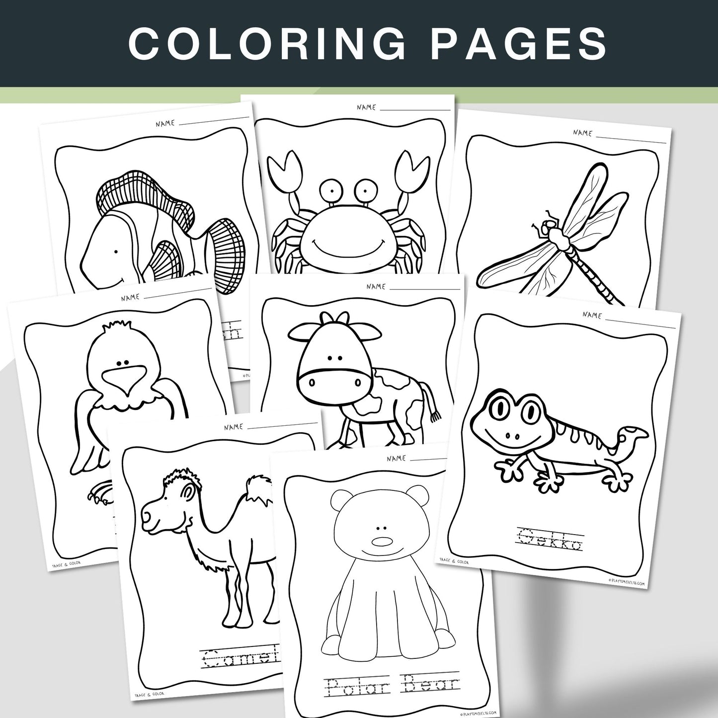 Preschool Worksheet Bundle: 1400+ Pages, Activity Printables PDF Download