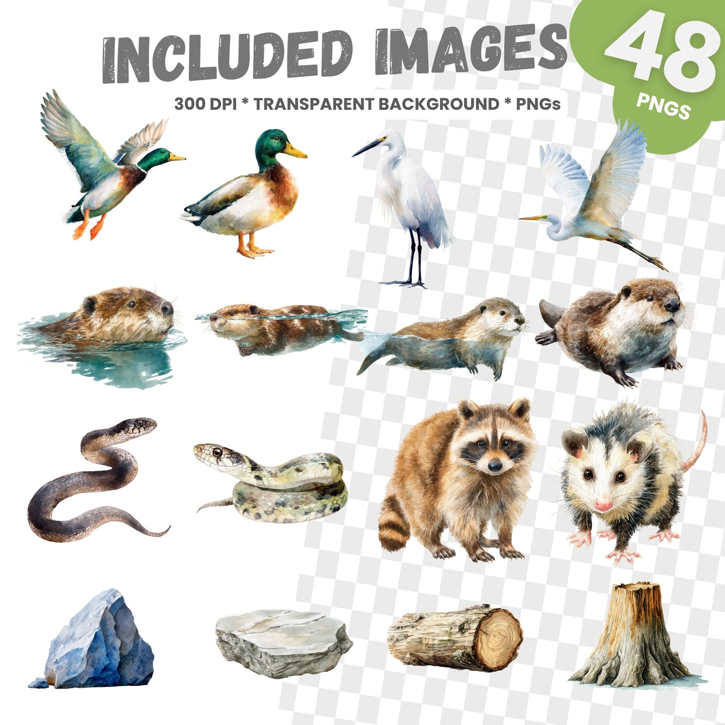 Collection of various animals and nature elements on a transparent background with text indicating included images and file details.