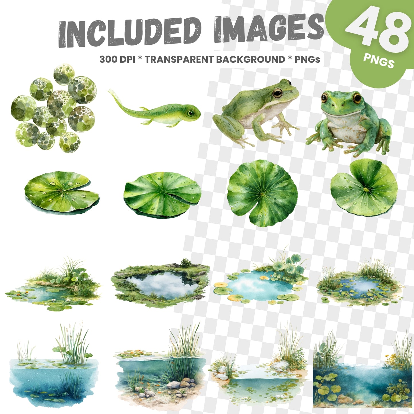 Set of green frogs and lily pads on a transparent background with text indicating included images and resolution.
