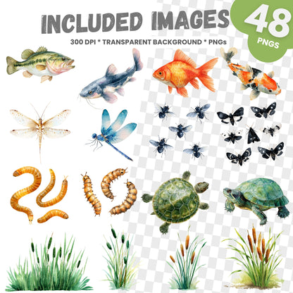 Collection of included images with various animals and insects on a transparent background.