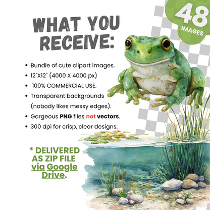 Promotional graphic for clipart images with a green frog on a lily pad.