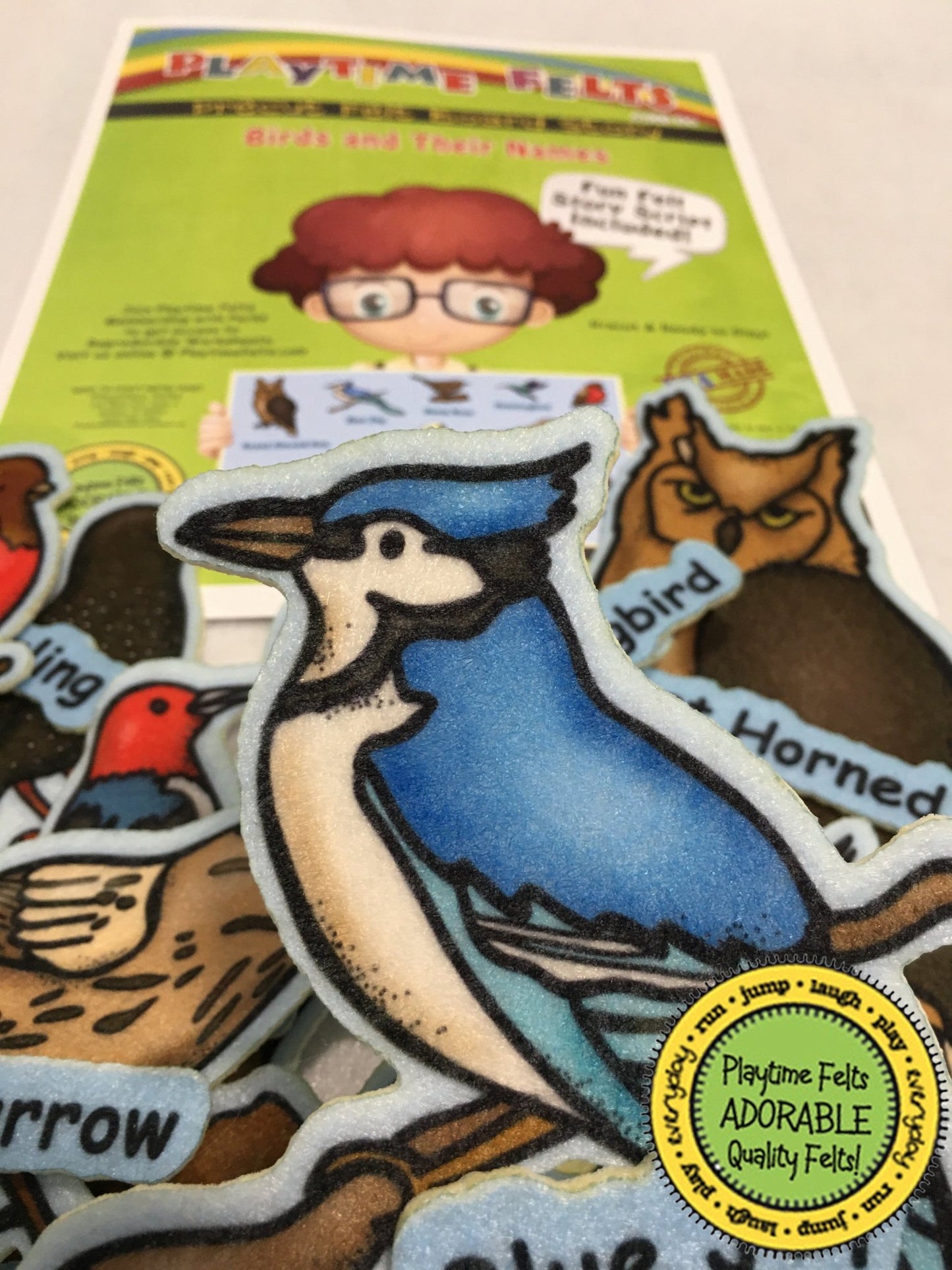 Birds and Their Names | Felt Board Story Set for Preschool - Playtime Felts