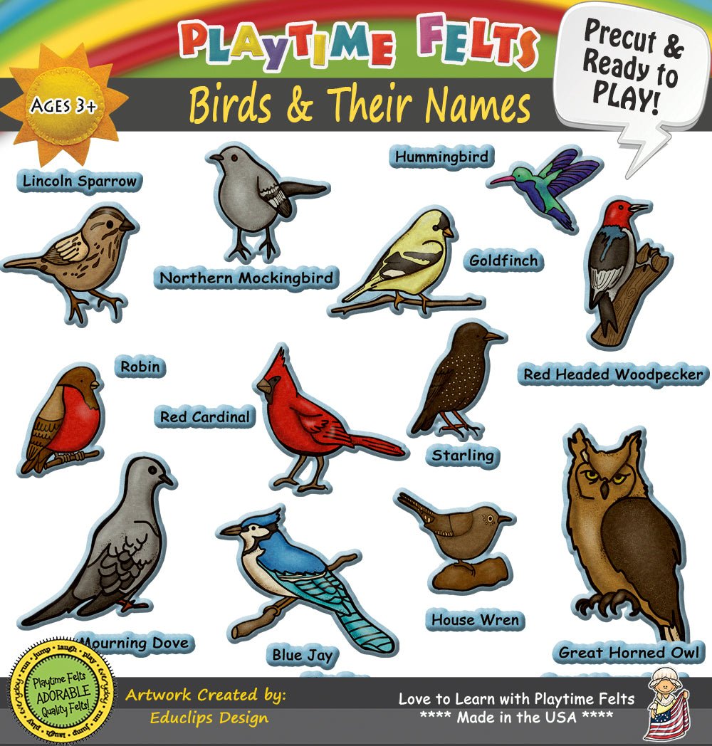 Birds and Their Names | Felt Board Story Set for Preschool - Playtime Felts