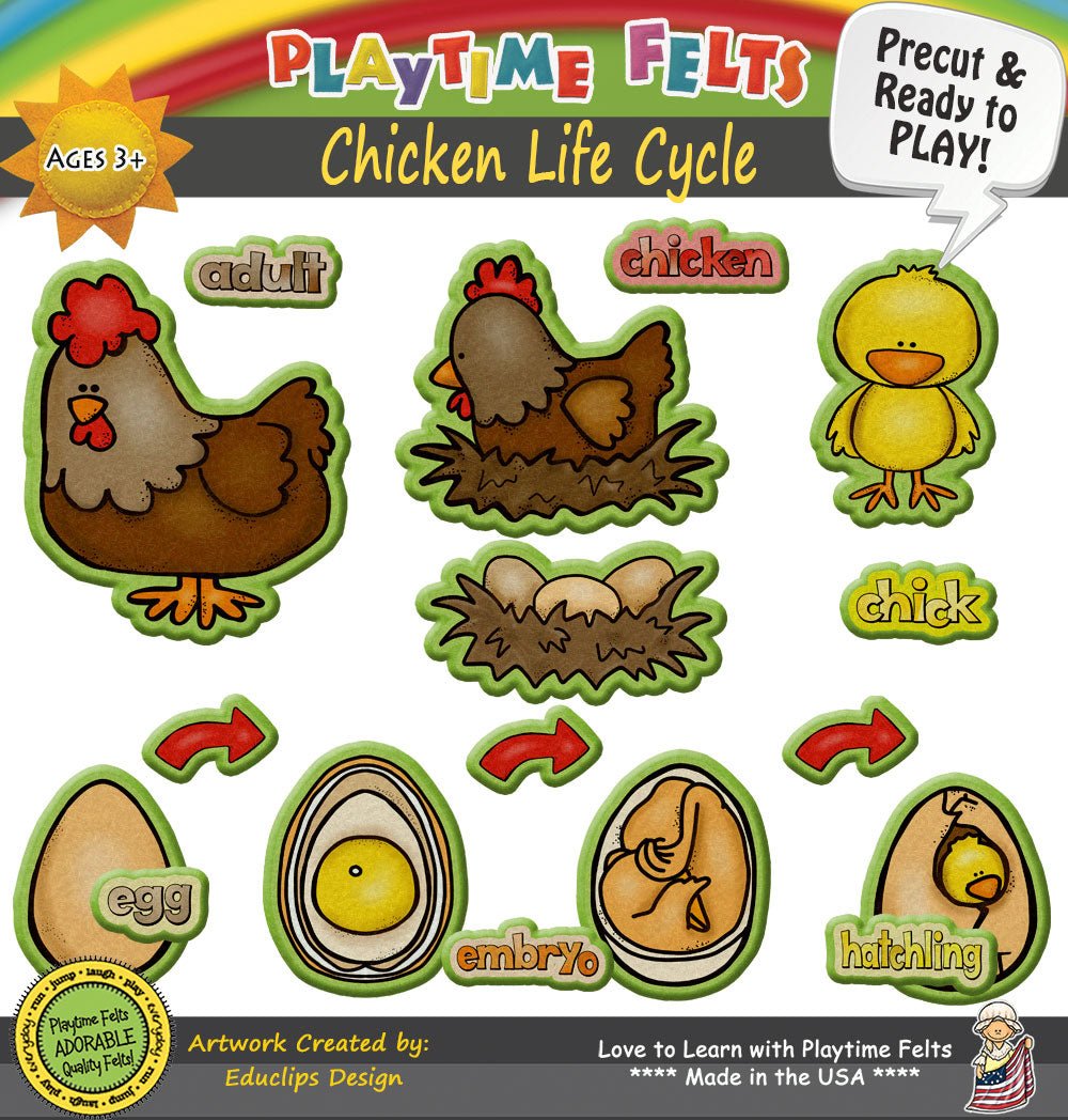 Chicken Life Cycle | Felt Board Story Set for Preschool - Felt Board Stories for Preschool Classroom Playtime Felts