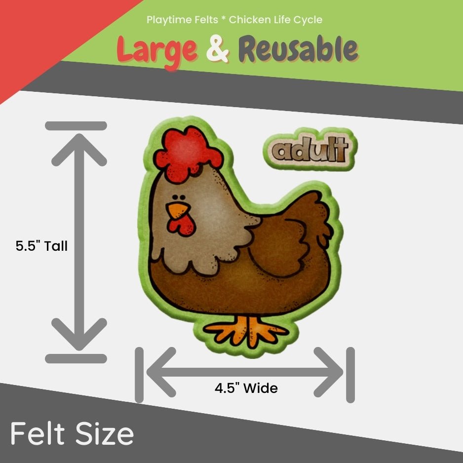 Chicken Life Cycle | Felt Board Story Set for Preschool - Felt Board Stories for Preschool Classroom Playtime Felts