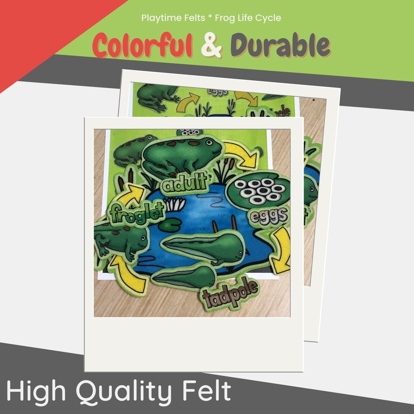 Frog Life Cycle | Felt Board Story Set for Preschool - Felt Board Stories for Preschool Classroom Playtime Felts