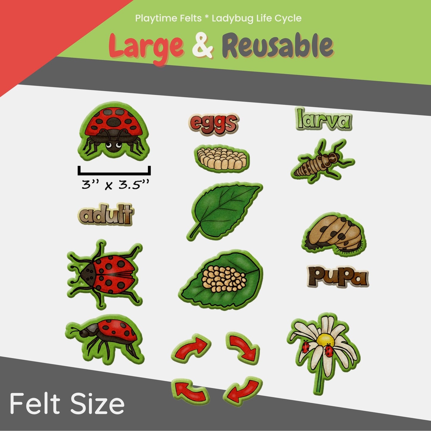Ladybug Life Cycle | Felt Board Story Set for Preschool - Felt Board Stories for Preschool Classroom Playtime Felts