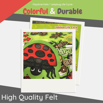 Ladybug Life Cycle | Felt Board Story Set for Preschool - Felt Board Stories for Preschool Classroom Playtime Felts